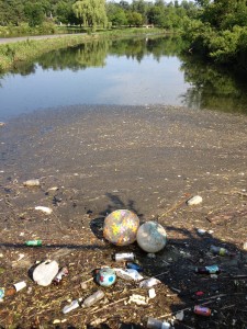 Despite the muck, plastic bottles, jugs, and cans littler Scajaquada Creek in Delaware Park. 