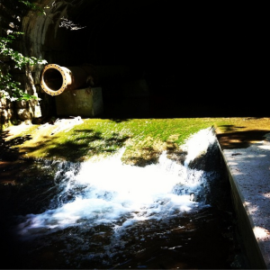 The sewer pipe to the left spews about 270 million gallons of raw sewage into the creek in Forest Lawn Cemetery.