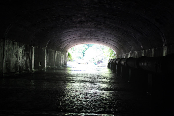 Scajaquada Creek reappears from an underground tunnel in Forest Lawn Cemetery near Main Street. Courtesy Mark James II