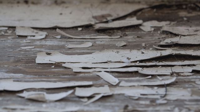 Lead paint chipping off a Buffalo home