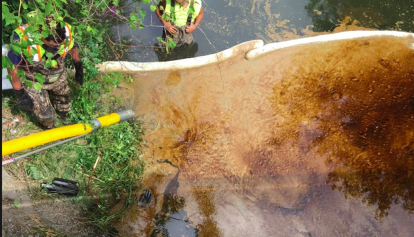 Some 500 gallons of presumed waste oil defiled Cayuga Creek this week